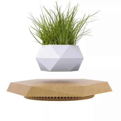 Maglev Pot Plant floating above base in white, wood grain, black, and imitation marble styles