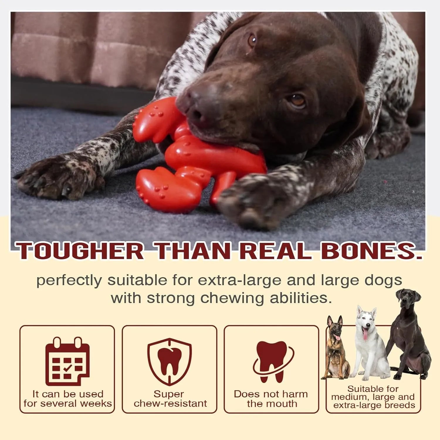 Red dog chew toy for aggressive chewers, measuring 170mm by 132mm by 57mm, for large and medium dogs