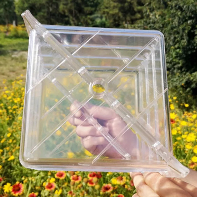 A square white plastic mould for growing square watermelons and fruit, measuring 13cm on each side.