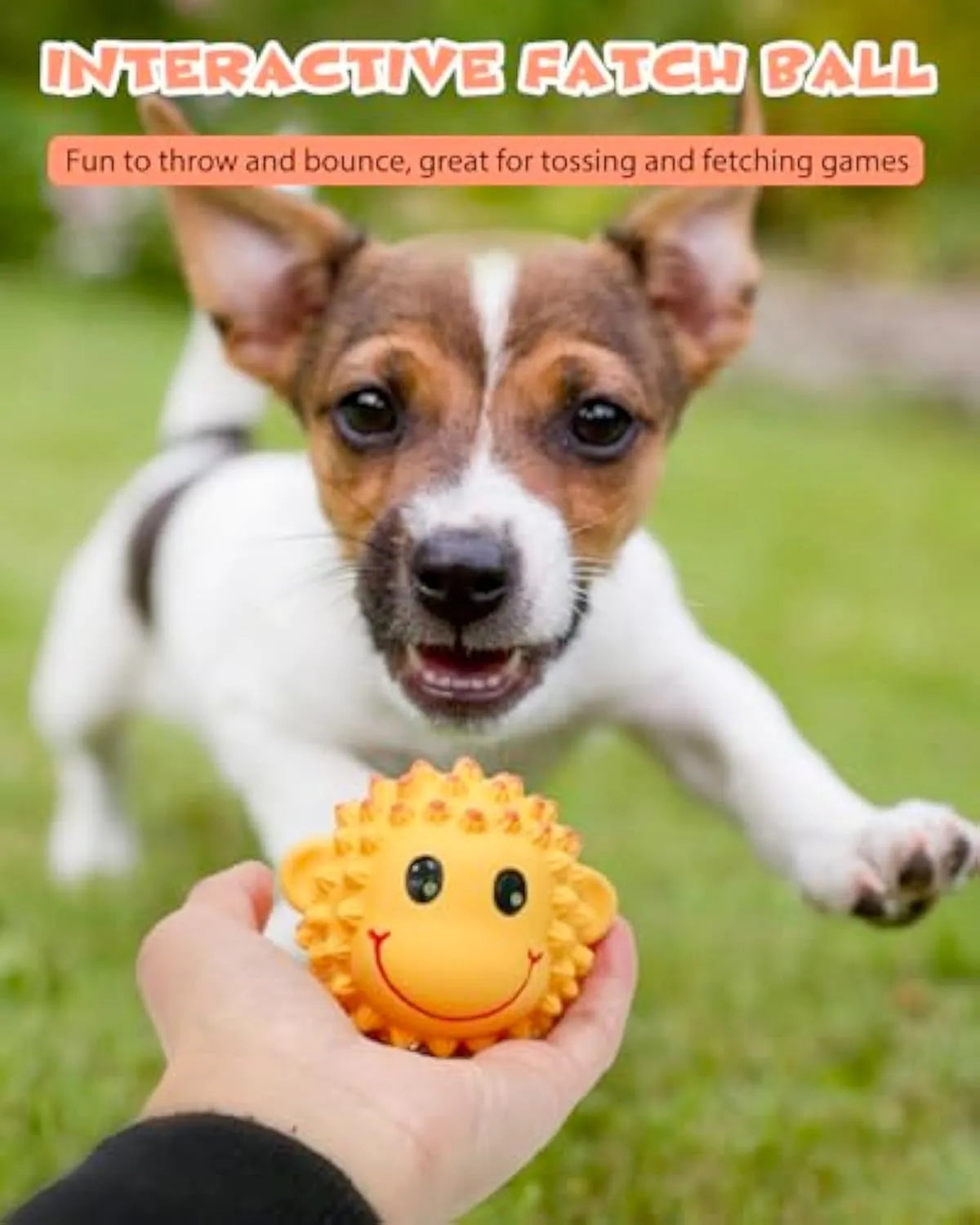 Latex squeaky dog toys in lamb and monkey designs, 3 inches diameter with spiky texture for dental cleaning