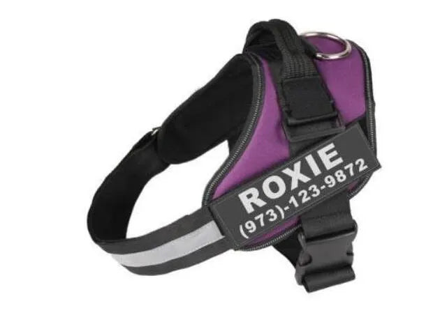 A reflective adjustable no-pull dog harness in nylon, shown on a dog, with a sturdy handle and D-ring for leash attachment.