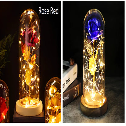Little Prince rose arrangement under 20x9cm glass dome with gold foil flowers