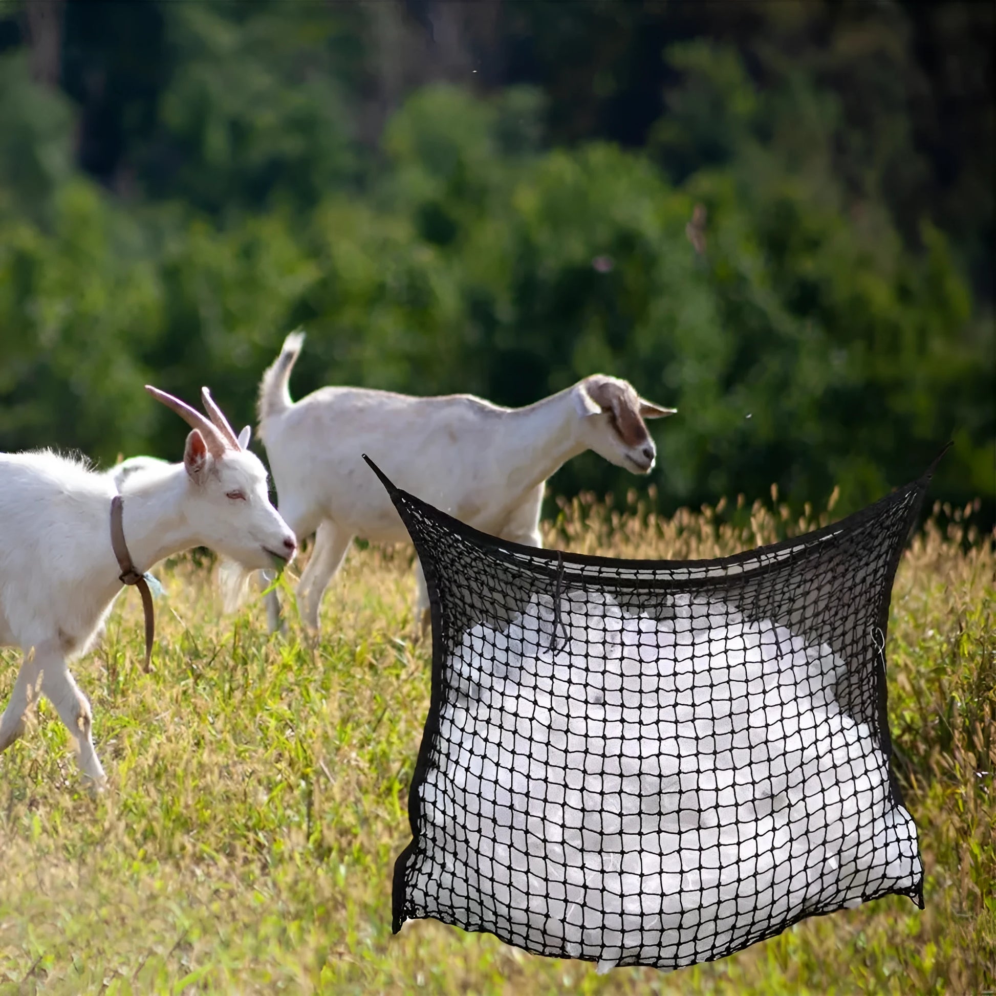 Black woven grid hanging feeding bag for horses, shown against a stable background.