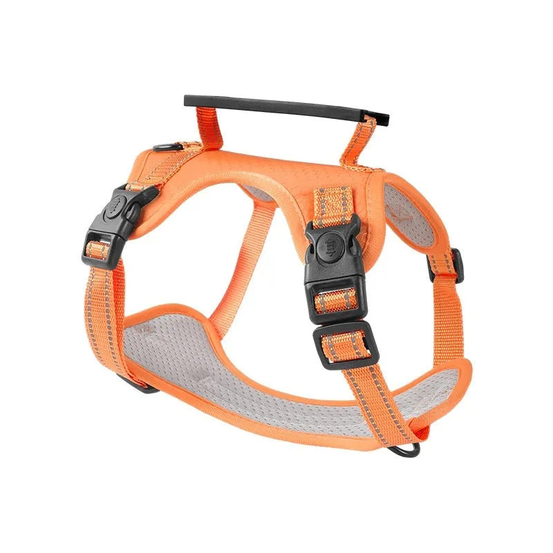 Adjustable polyester dog harness with front D-ring in Lake Blue colour on medium-sized dog