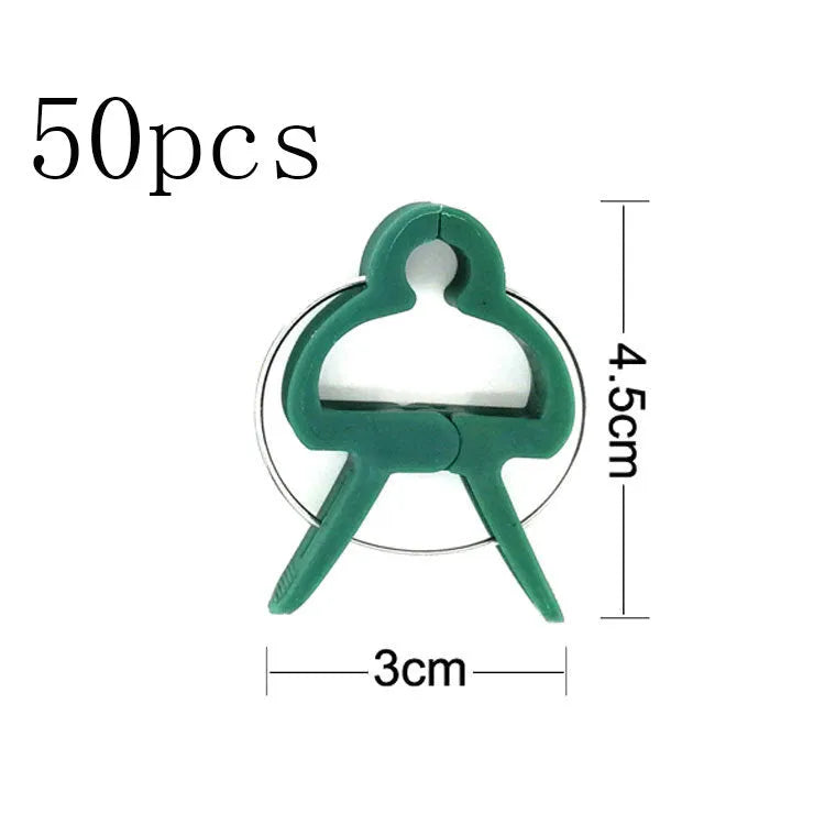Green plastic plant fixing clips, large and small sizes, holding a tomato stem to a garden cane.