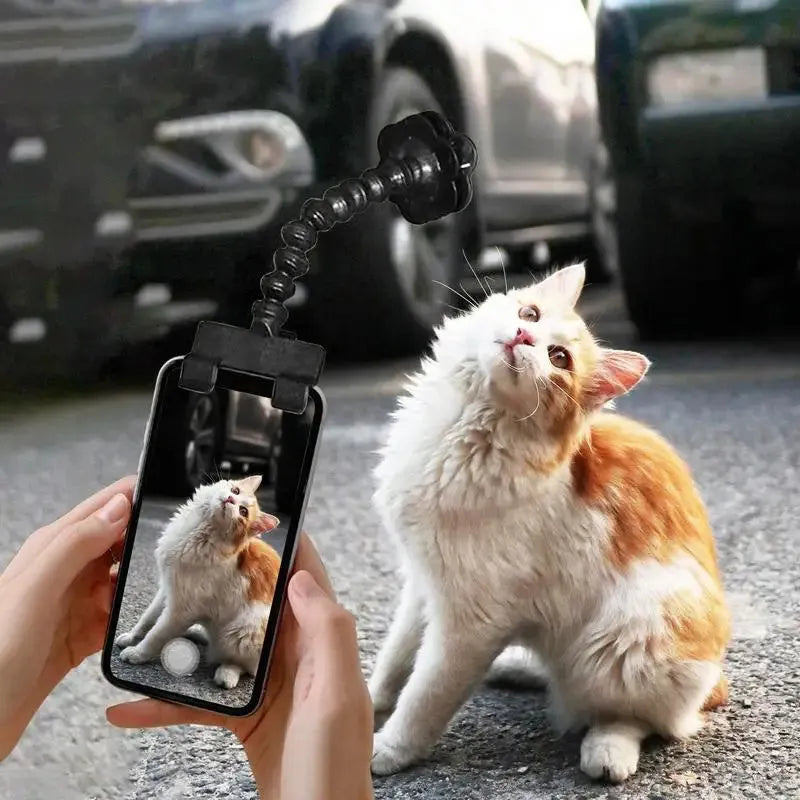Black plastic pet photography tool attached to mobile phone with treat clip extended