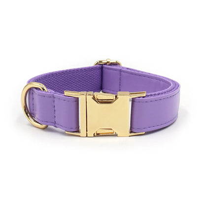 Velvet leather dog collar with colour block design showing buckle fastening in available colour options