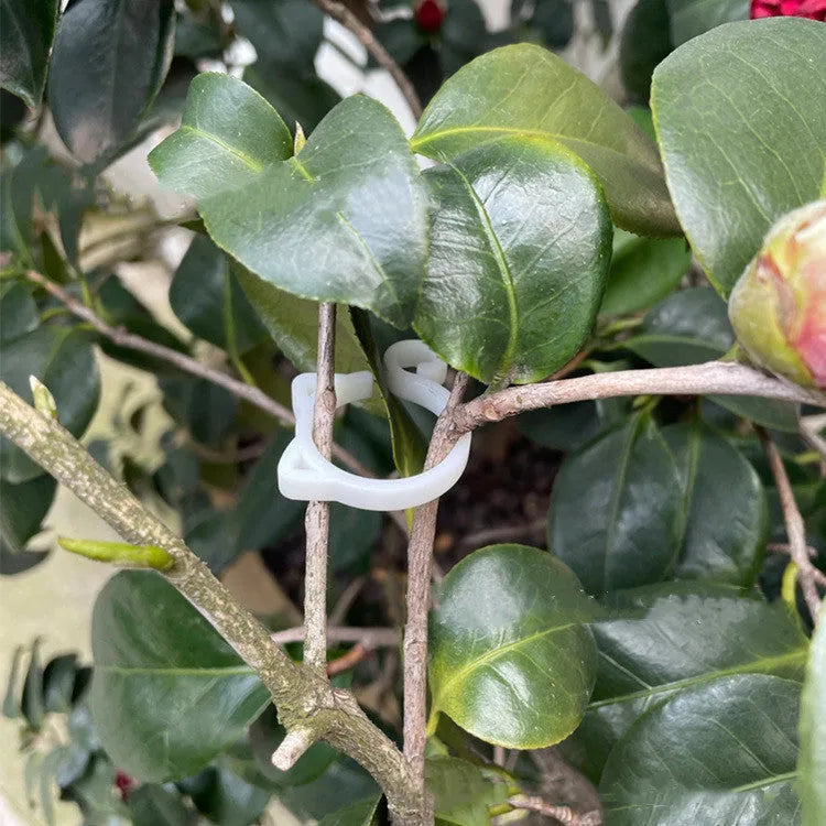 Red cat-shaped plastic gardening clip securing plant stem, showing 3cm length and decorative feline design