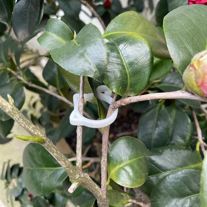 Red cat-shaped plastic gardening clip securing plant stem, showing 3cm length and decorative feline design
