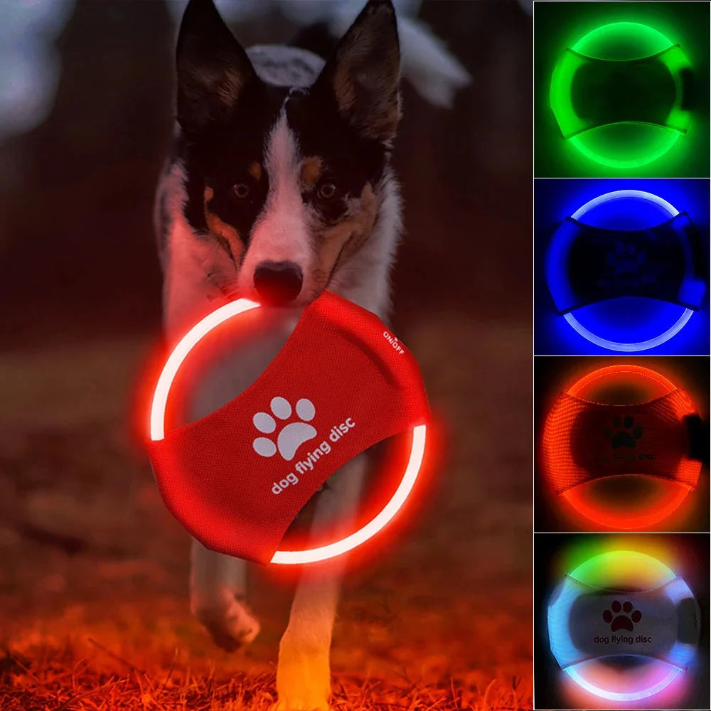 LED glowing dog flying disc in various colors, perfect for night-time play