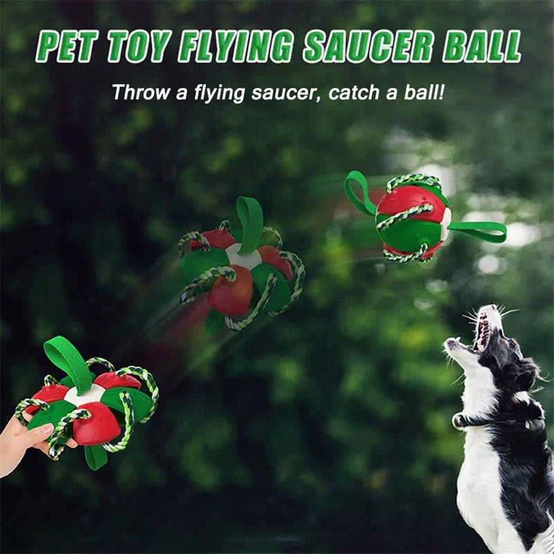 Transforming dog toy that can switch between a ball and frisbee shape, featuring durable construction and interactive play features
