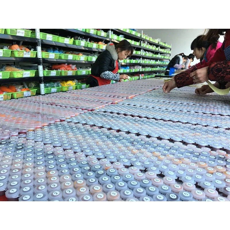 DIY Ballerina Digital Oil Painting Kit with canvas, brushes, and paints for hand-painted art