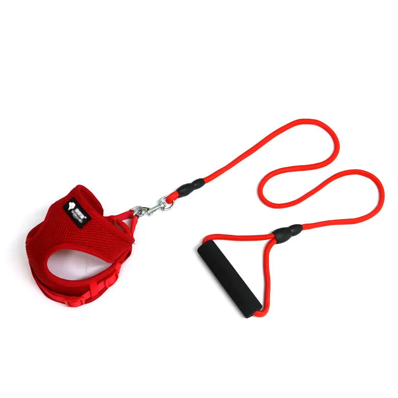 Blue adjustable dog leash with foam handle, 120cm nylon rope for medium-sized dogs