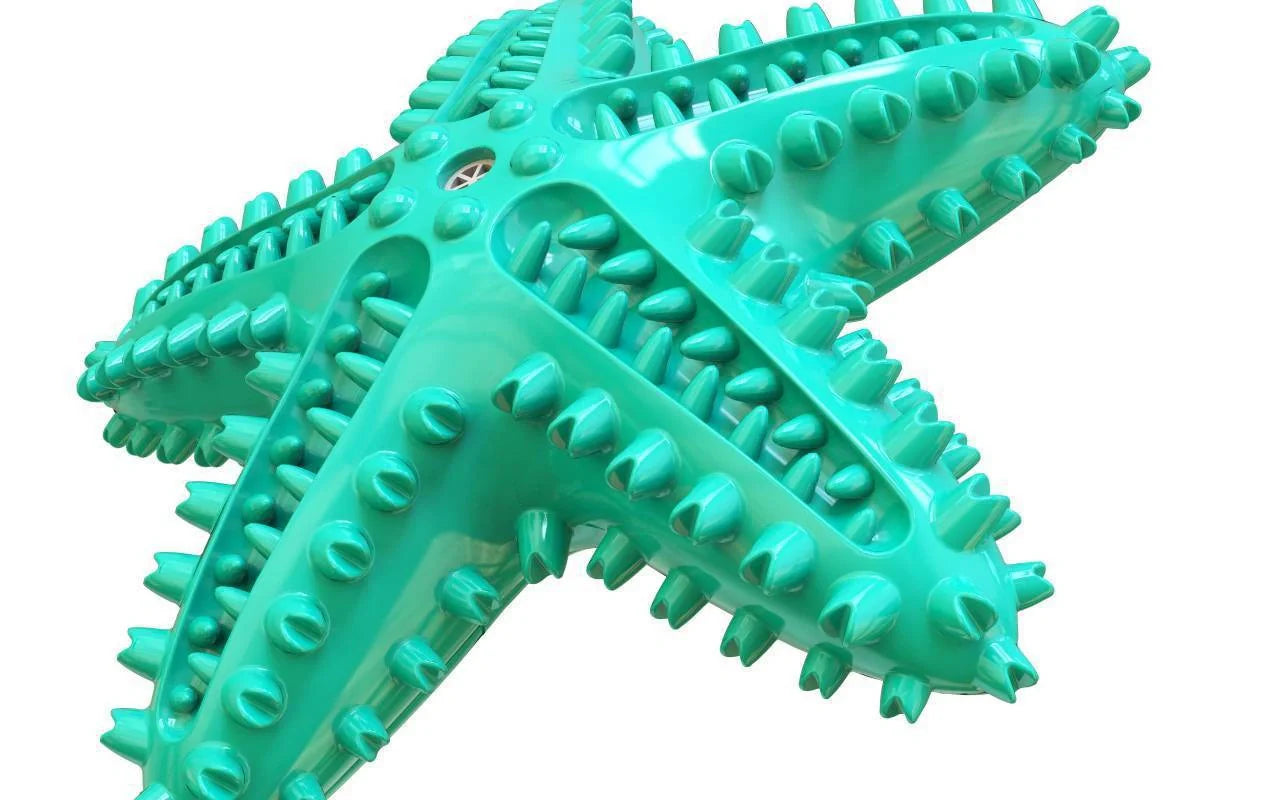 Starfish Vocal Pet Dog Toy Molar Stick in lake blue, yellow, and green for teeth cleaning