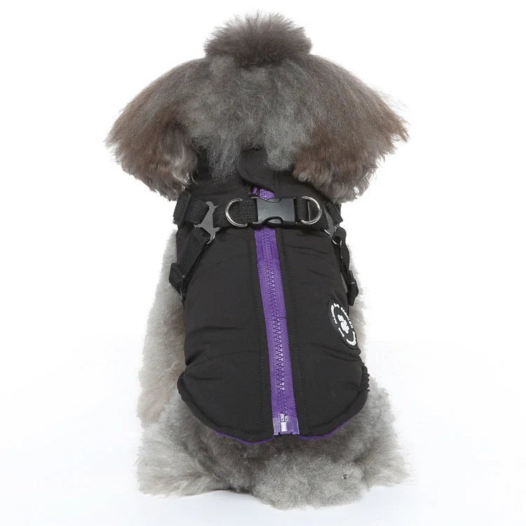 Cozy padded jacket with adjustable chest strap for pets, available in various colors and sizes.