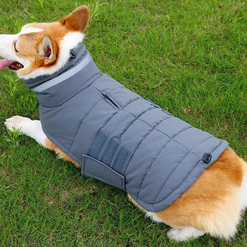 Waterproof winter dog coat in gray and pink, sizes S to XL, for medium to large dogs