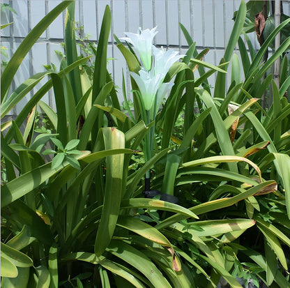 Solar-powered garden light with lily shape and LED bulbs in outdoor setting
