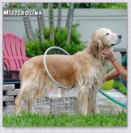 The 360 Woof Washer, an innovative dog washing system with a 360-degree water jet to thoroughly clean your furry friend.