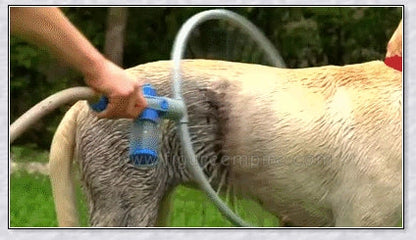 The 360 Woof Washer, an innovative dog washing system with a 360-degree water jet to thoroughly clean your furry friend.