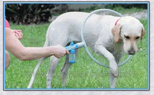 The 360 Woof Washer, an innovative dog washing system with a 360-degree water jet to thoroughly clean your furry friend.