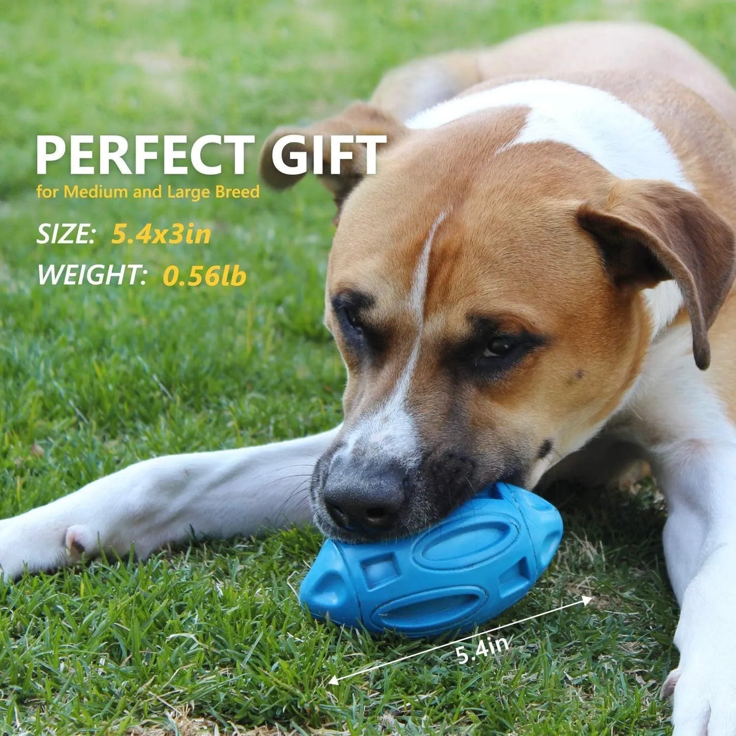 Natural rubber squeaky dog chew ball with surface grooves for medium and large breed dogs