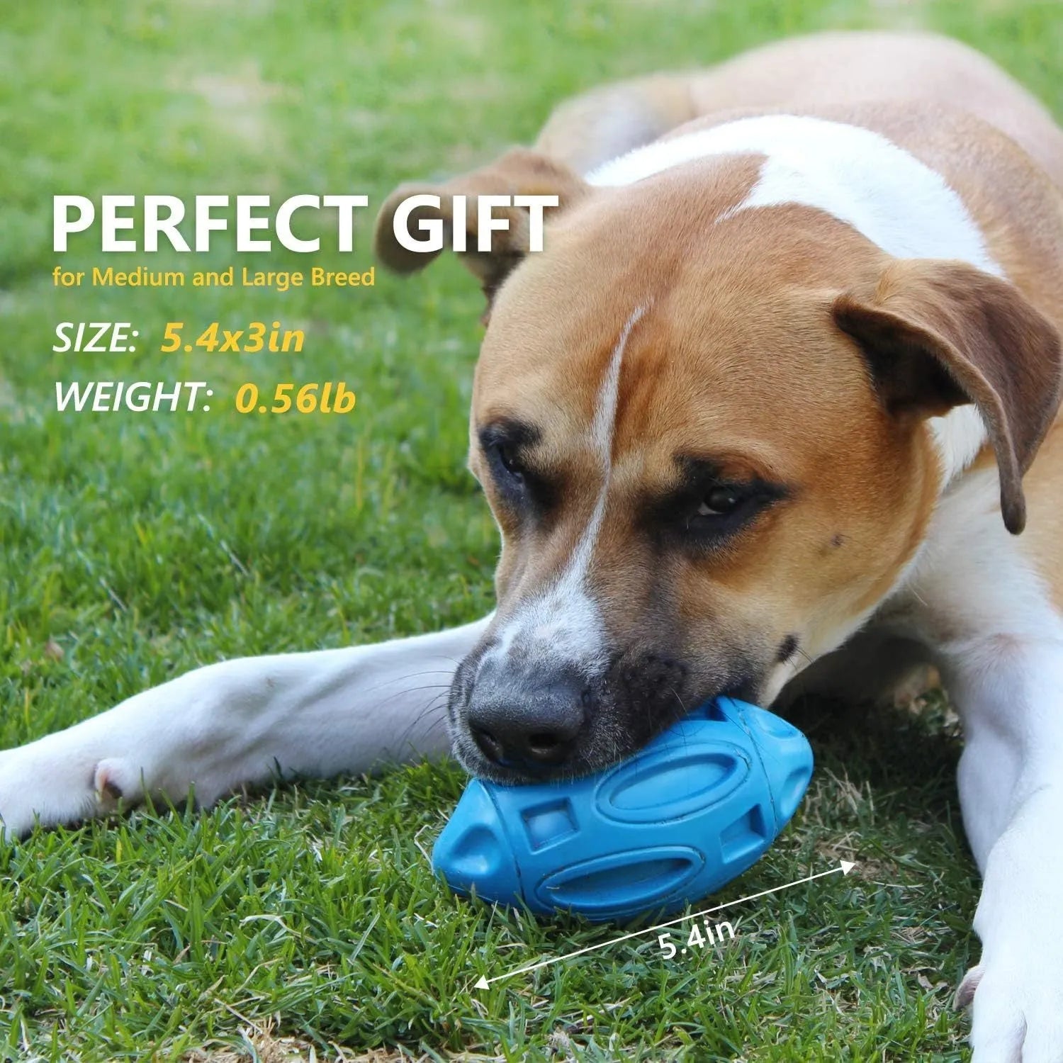 Natural rubber squeaky dog chew ball with surface grooves for medium and large breed dogs