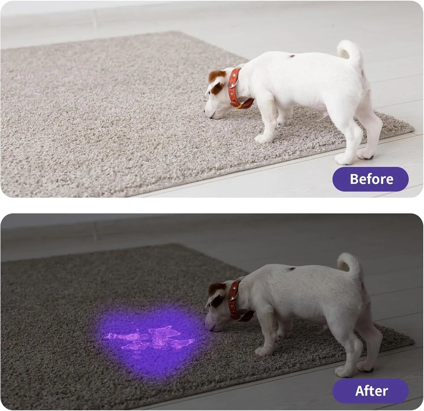 Black and silver handheld UV LED flashlight for detecting stains and insects.