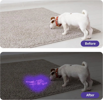 Black and silver handheld UV LED flashlight for detecting stains and insects.
