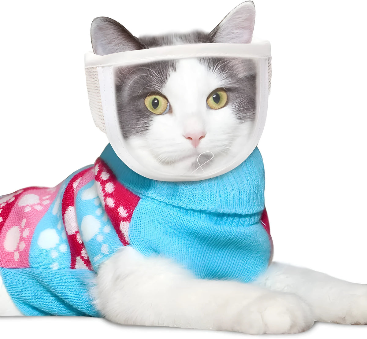 Clear transparent muzzle for cats on a grey background, showing breathing hole and soft lining.