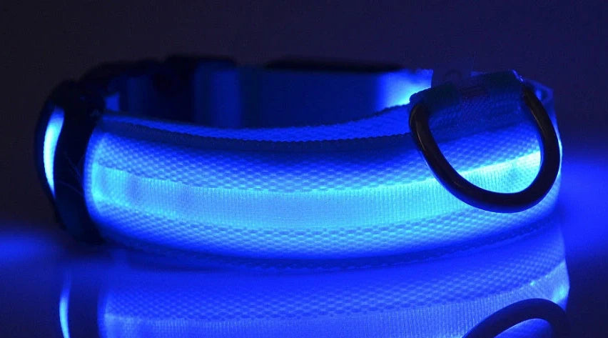 Nylon LED dog safety collar with illuminated fibre optic lights in blue colour, adjustable buckle, and waterproof construction