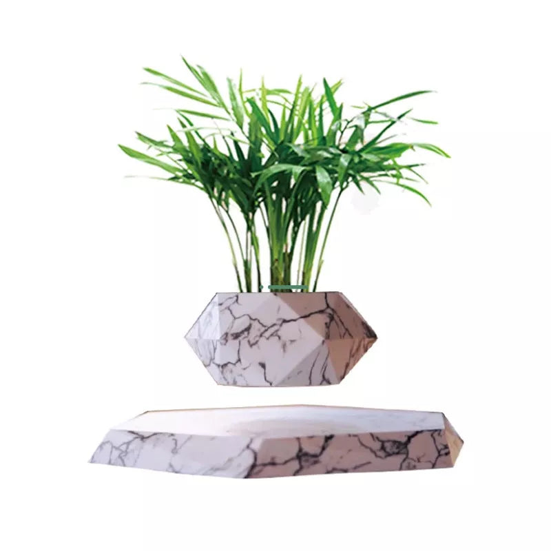 Maglev Pot Plant floating above base in white, wood grain, black, and imitation marble styles