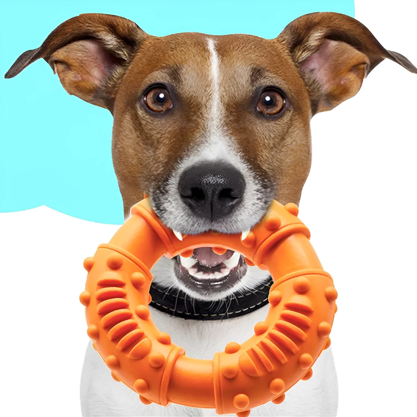 Blue dog fetching stick toy with hollow centre, measuring 13cm, for lightweight chew and floatable fetch games