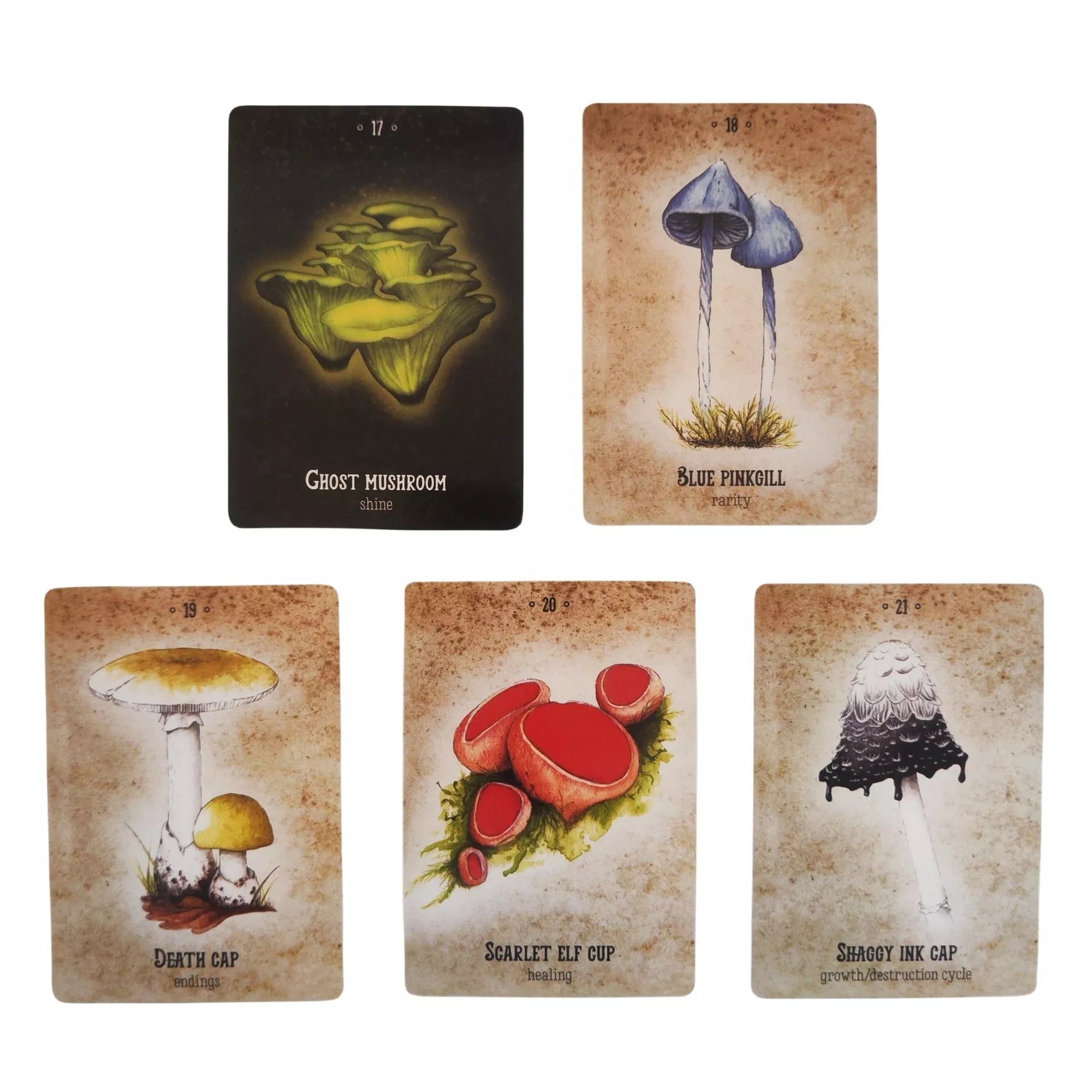 Mushroom Spirit Oracle Card Game for cognitive development and fun