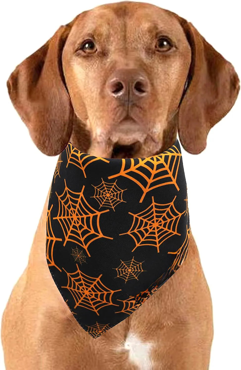 Black and orange reversible Halloween dog bandana with pumpkin and spider web print laid flat