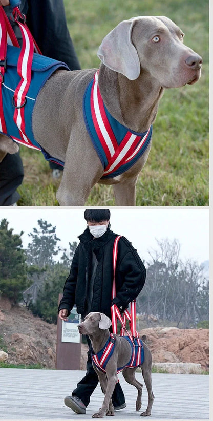 Blue nylon dog harness with adjustable straps and quick-release buckles for elderly pets