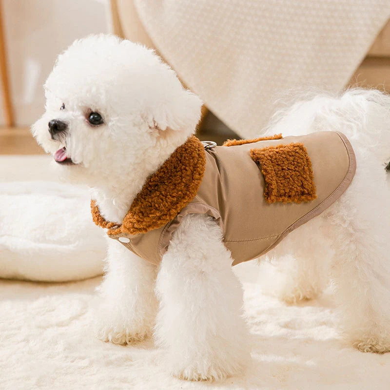 Korean style coffee sweater for small dogs and cats in beige and green
