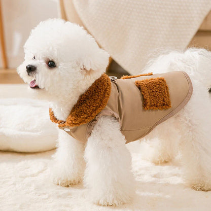 Korean style coffee sweater for small dogs and cats in beige and green