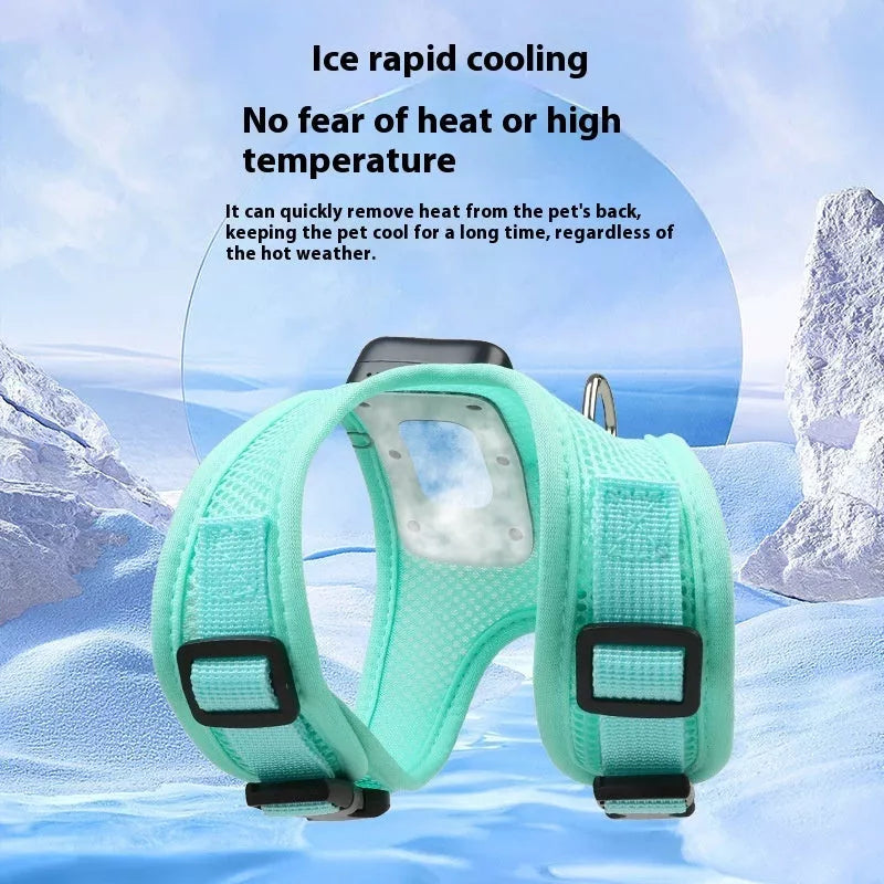 Small dog wearing mint green cooling vest harness with air conditioner