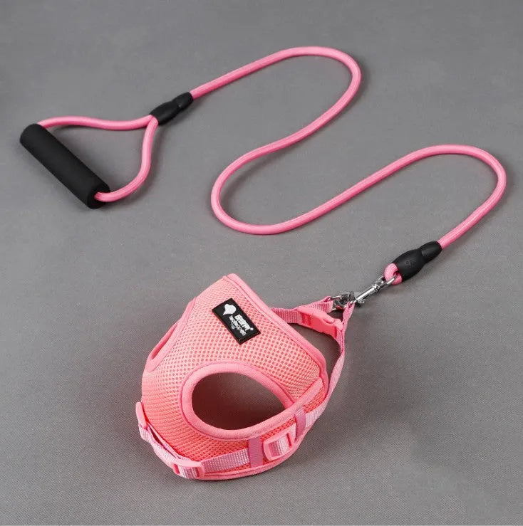 Blue adjustable dog leash with foam handle, 120cm nylon rope for medium-sized dogs