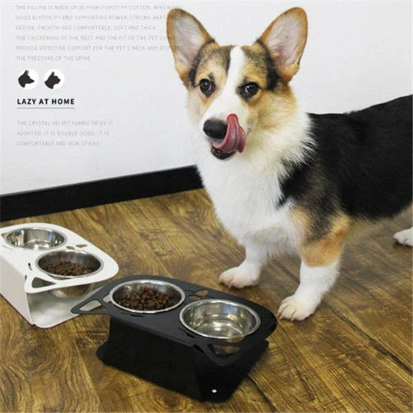 Elevated anti-spill pet food and water bowls in various color options, featuring a sleek and inclined design to prevent spills and keep meals fresh.