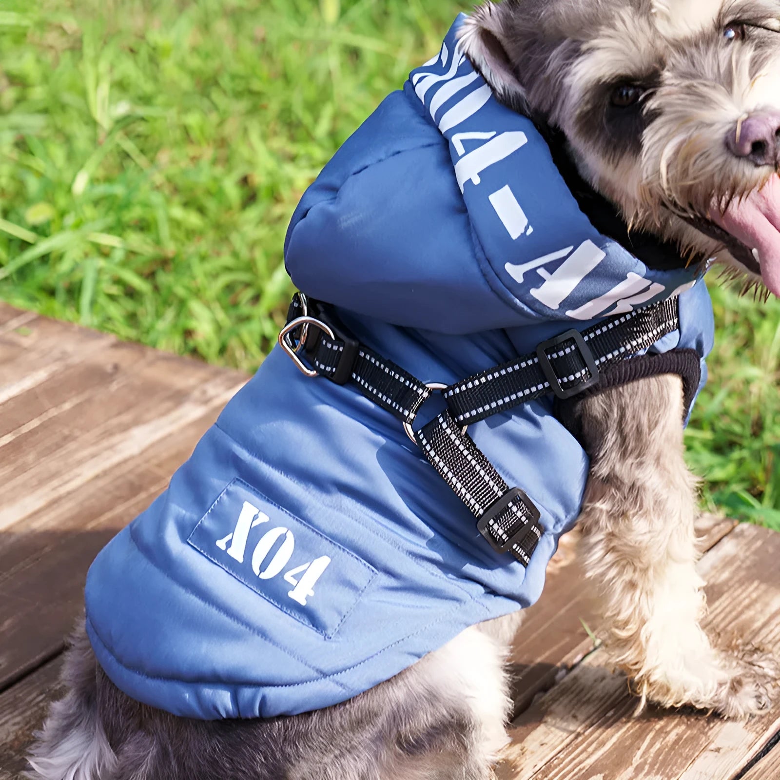 Red fleece-lined waterproof dog winter jacket with hood shown on medium-sized dog