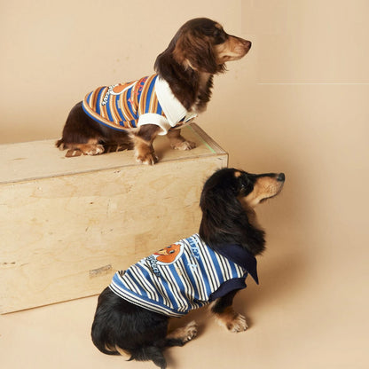 Tony Bear dog striped polo shirt in cotton, blue or brown, sizes XS to XXL, casual pet clothing