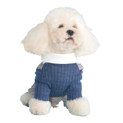 Orange and dark blue cotton dog suit shirt for small breeds in sizes S to 2XL