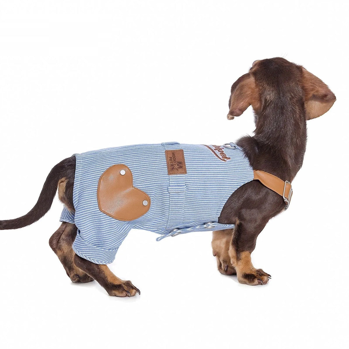 Blue polyester denim-style suspender pants for small dogs, available in sizes XXS to 2XL