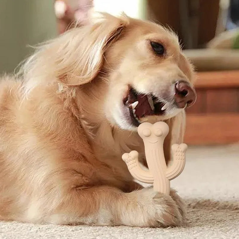 Beige cactus-shaped dog chew toy made from bamboo fibre and rubber on a white background.