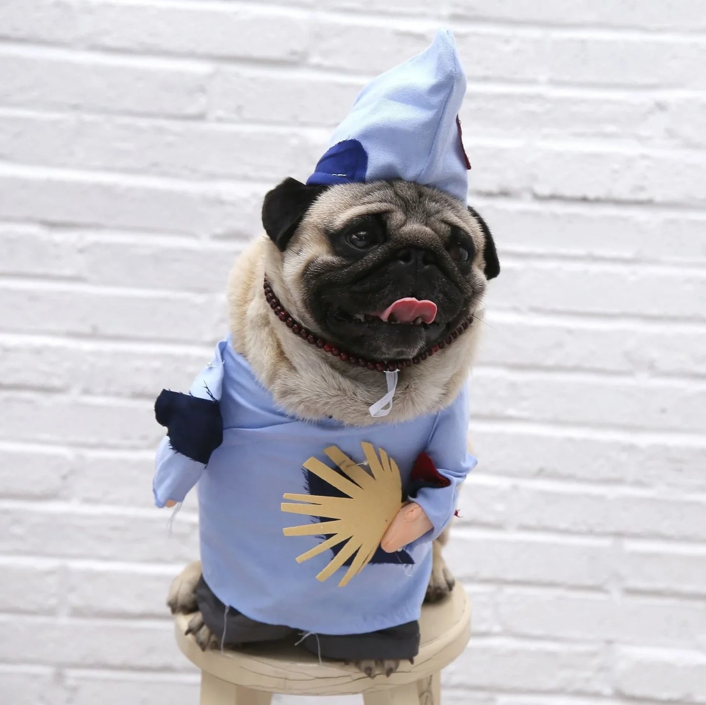 Polyester cat costume in character design with size label showing bust and neck measurements