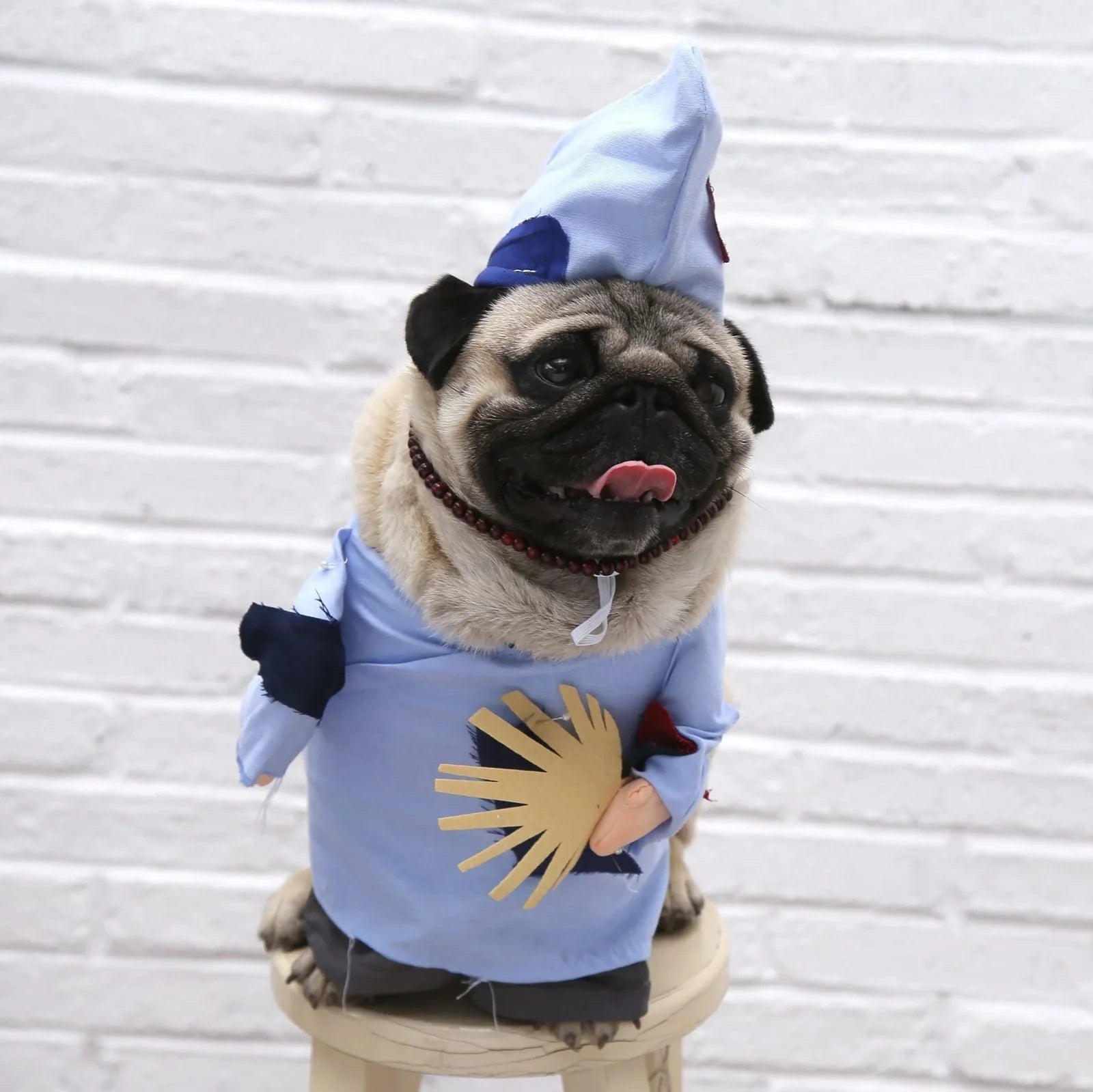 Polyester cat costume in character design with size label showing bust and neck measurements