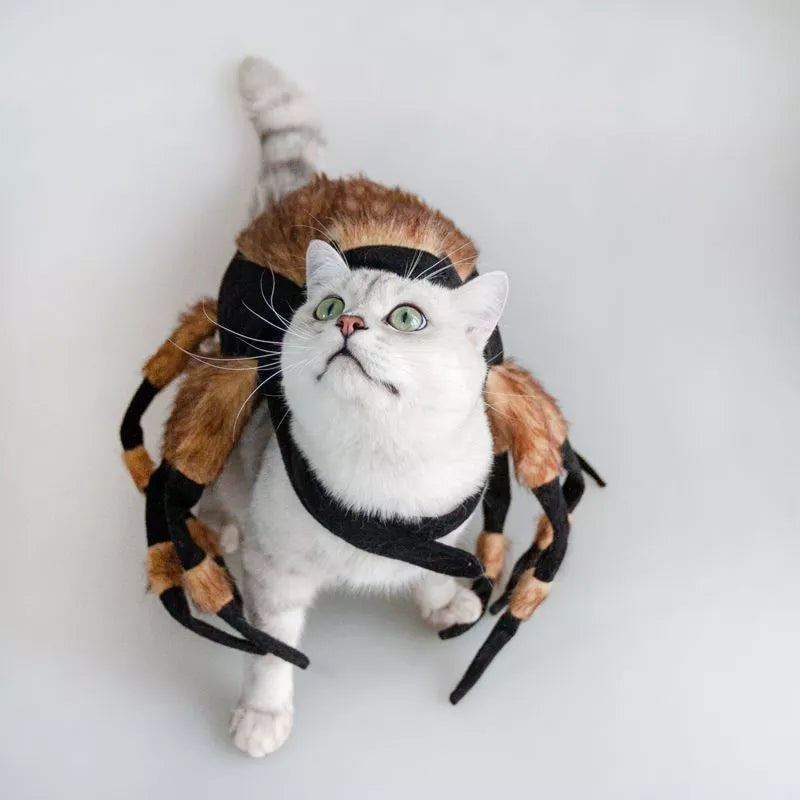 Black spider costume for pets with 8 legs and adjustable straps