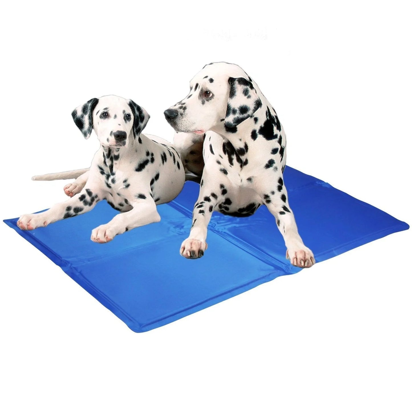 Blue dog cooling mat with pressure-activated ice crystal technology for summer comfort