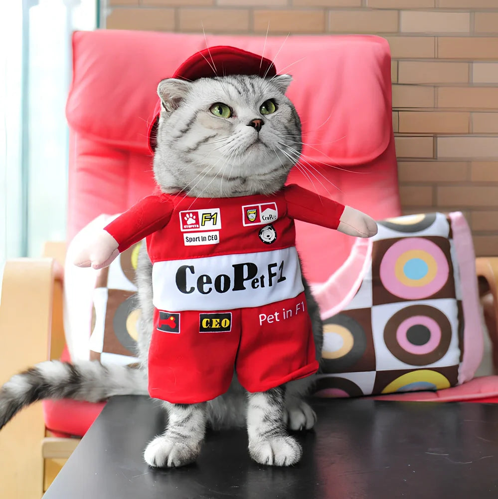 Polyester cat costume in character design with size label showing bust and neck measurements